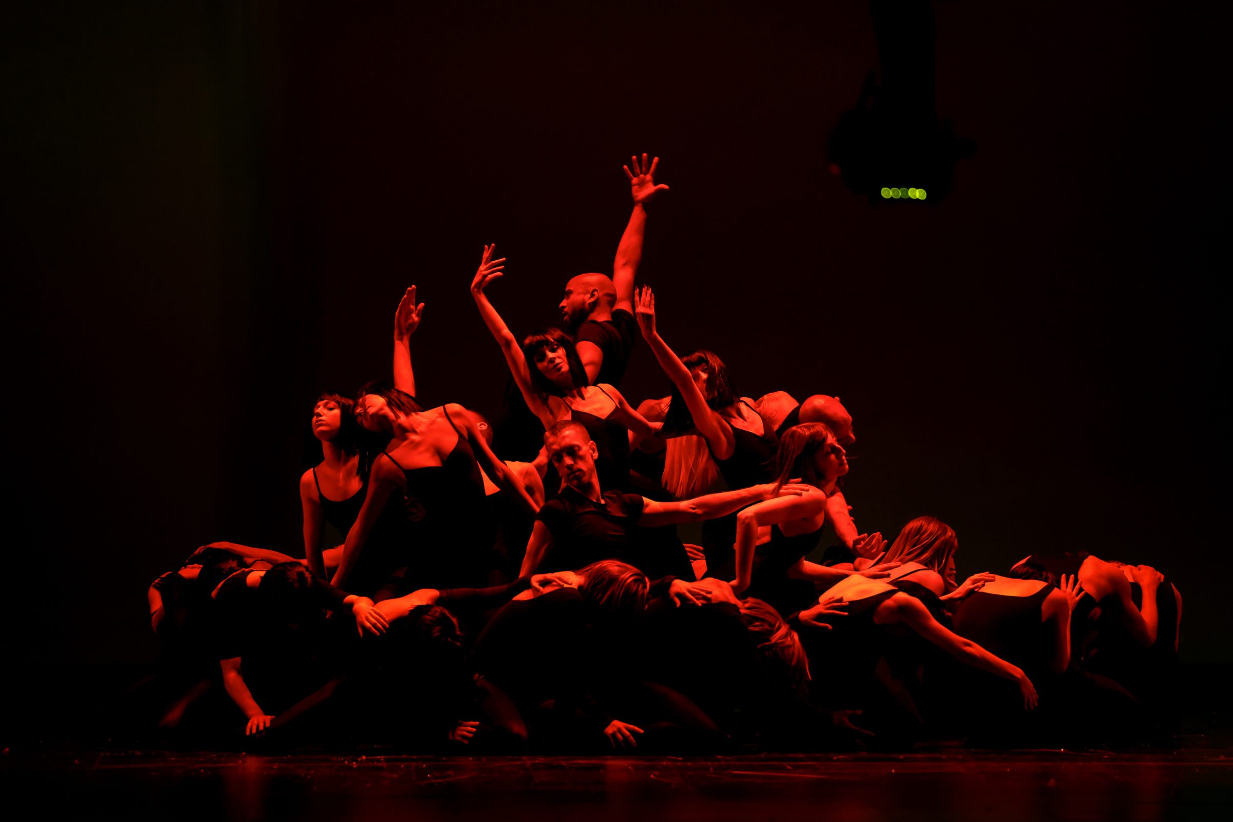 ambiance show_164
